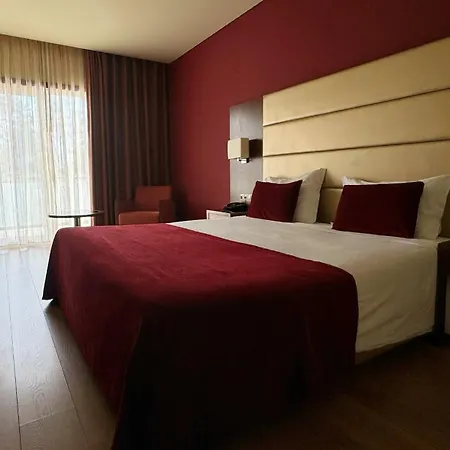 Palace & - Termas De Sao Miguel 4*